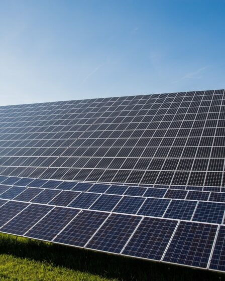 zielona energia